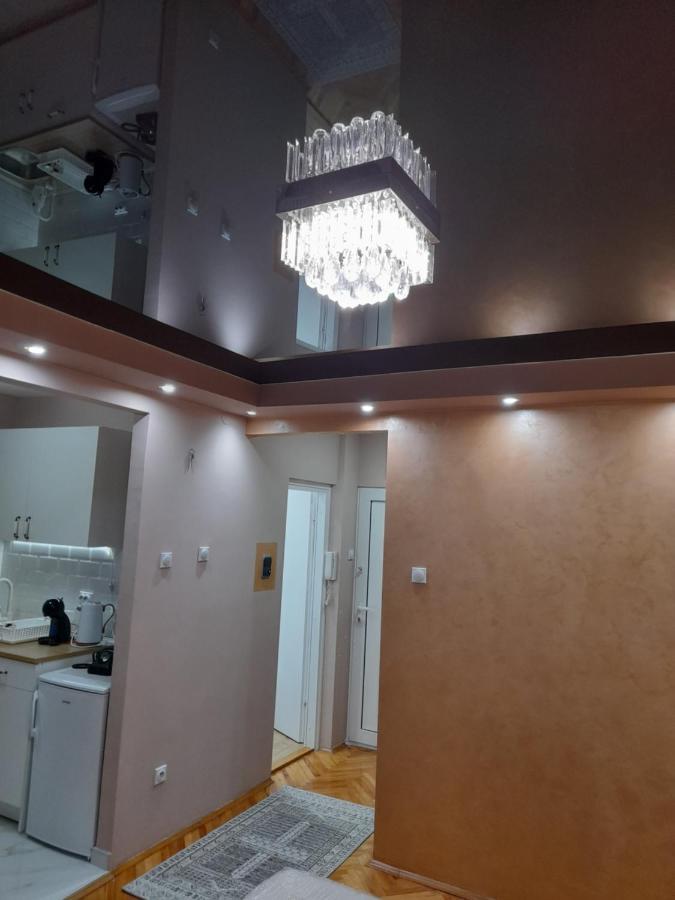 Iva Lux Apartman Zaječar Dış mekan fotoğraf